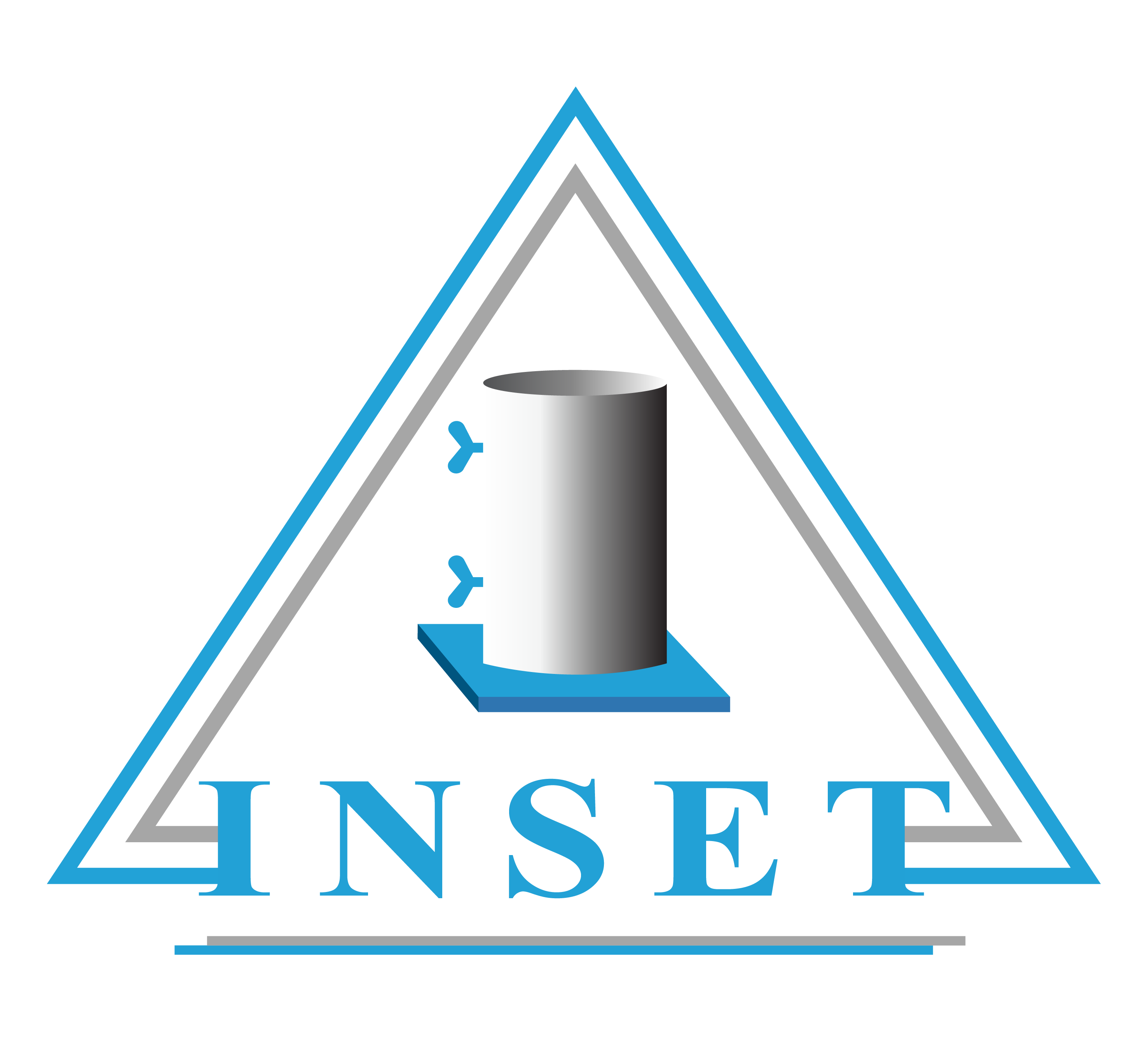 Grupo Inset